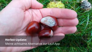 Mehr über den Artikel erfahren Herbst-Update: meine achtsame Alternative zur Lauf-App